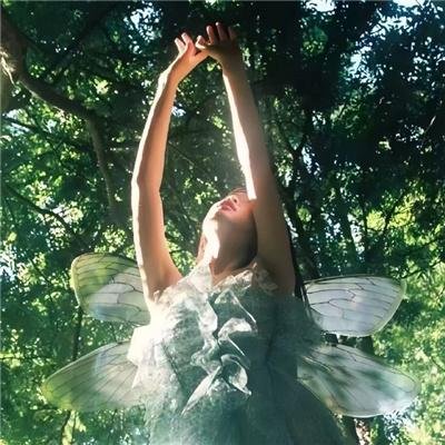 我大魏第一厨神