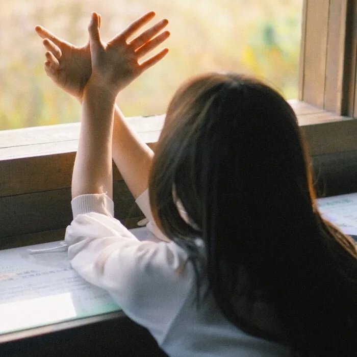 都是爱情惹的祸